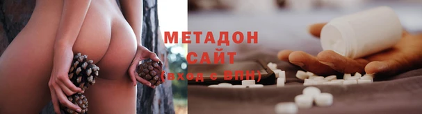 прущие грибы Фёдоровский