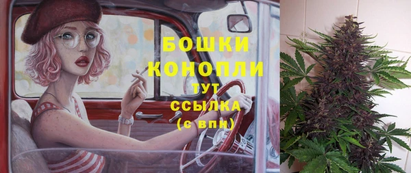 амф Калининец